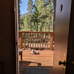 Cinnamon Bear Inn