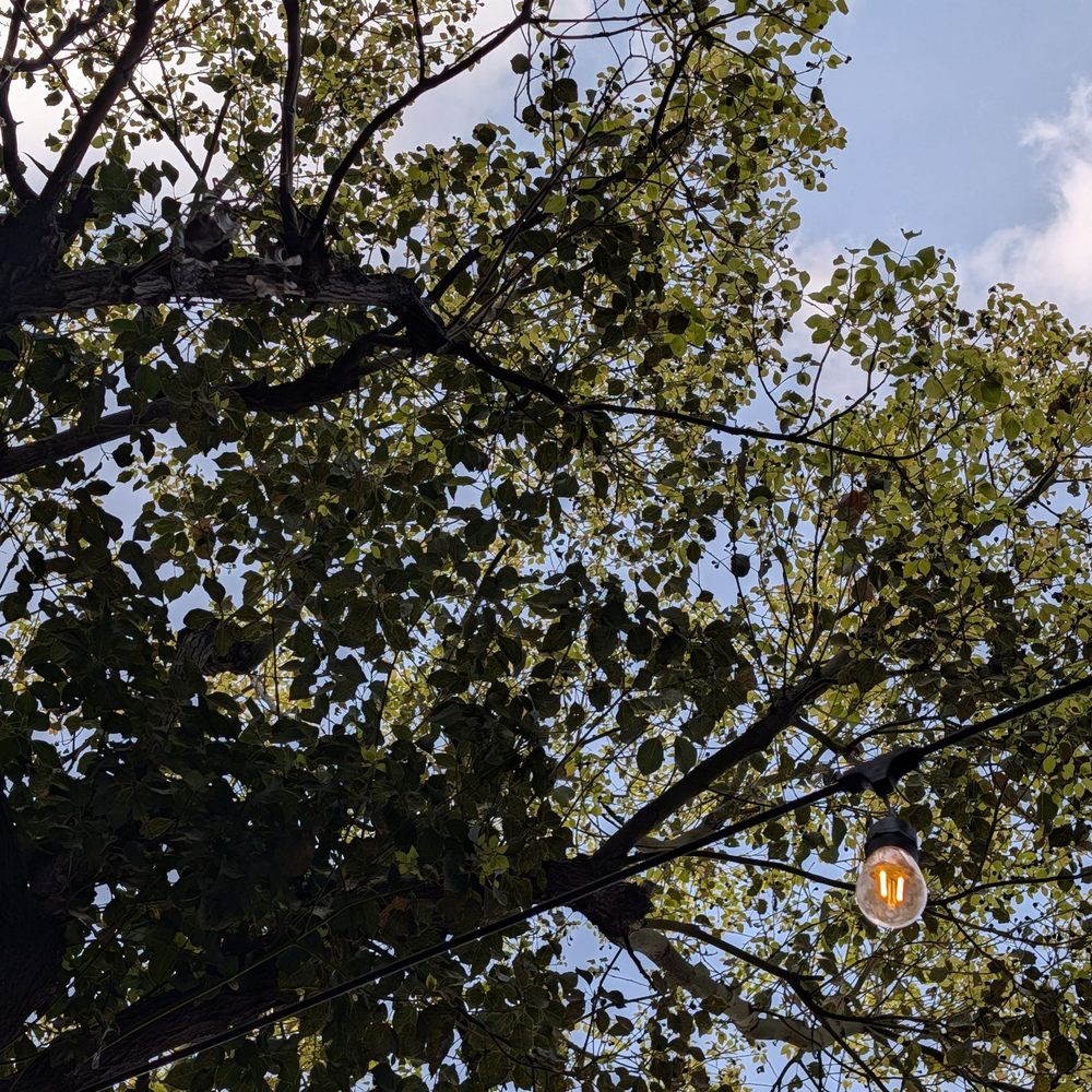 Maccheroni Republic - Beautiful Environment - Italian Near Me - Los Angeles, California Maccheroni Republic - Beautiful Environment - Italian Near Me - Los Angeles, California