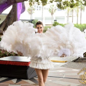 Dream World Cirque - Performing Arts Near Me Dream World Cirque - Performing Arts Near Me