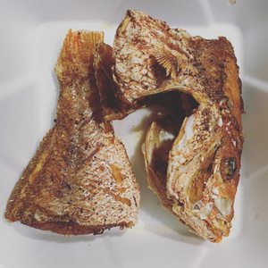 Ackee Tree The Real Jamaican Cuisine on Yelp