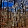 Photo of Eno River State Park