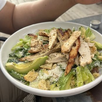 Leeland House - Cesaer Avocado Chicken Caesar Salad - Breakfast & Brunch Near Me - Houston, Texas