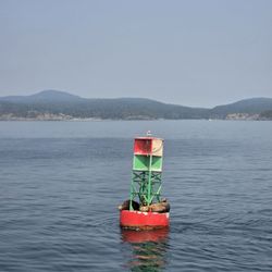 Island Adventures Whale Watching