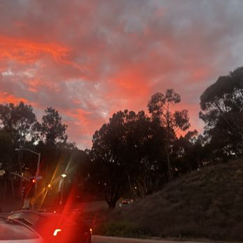 Anastasia Psychic Life Coach - Psychics Near Me - Del Mar, California Anastasia Psychic Life Coach - Psychics Near Me - Del Mar, California