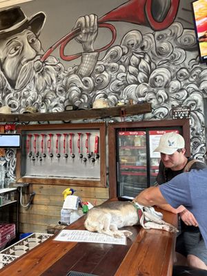 Revelry Brewing Co by null