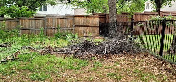 Tree Trimming - Bastidas Landscaping - Trimming a tree is necessary for its well-being. But it isn’t an easy task to do. So if you need to trim your trees, it is advisable to leave everything to a trusted tree company like ours. We have commercial and residential landscaping services, including tree trimming, that can address your trimming needs.