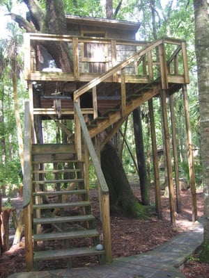 Hostel In the Forest by null