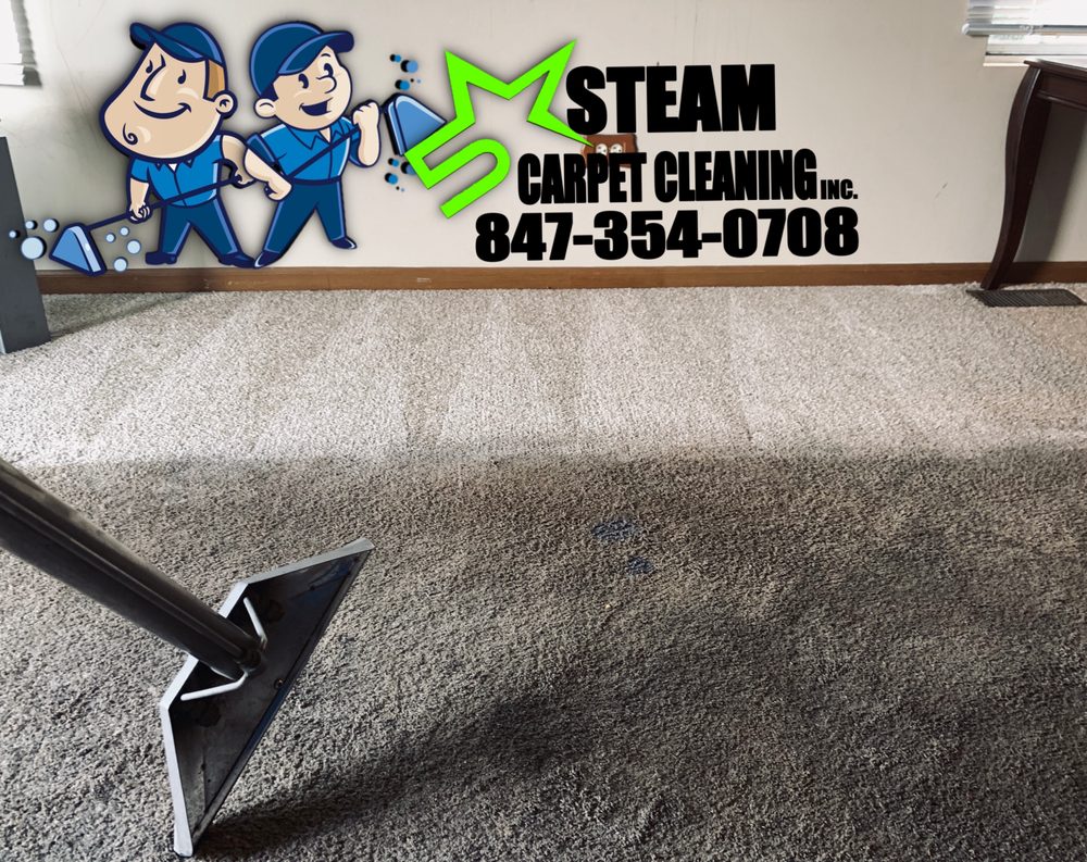 FIVE STAR STEAM CARPET CLEANING 13 Photos 7500 Elmhurst Rd, Des Plaines, Illinois Carpet
