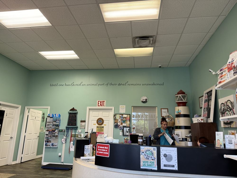 Lighthouse Pet Clinic Image