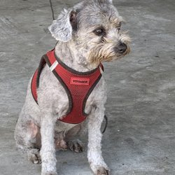 Clipz and Snipz Gift Greeting Cards Email, Text or Print 389