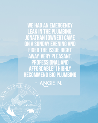 Bio Plumbing Logo