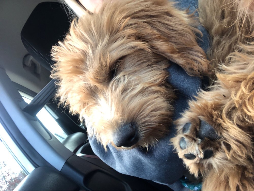 TIM HORTONS Updated September 2024 19 Reviews 903 E State St, Athens, Ohio Coffee & Tea