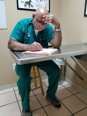 mueller's animal hospital