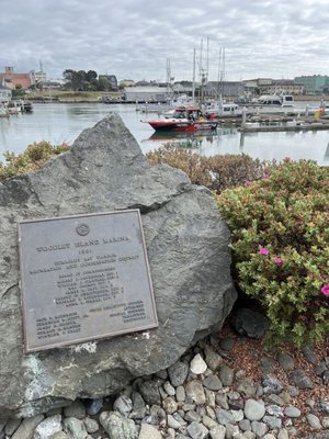 Café Marina & Woodley's Bar by null