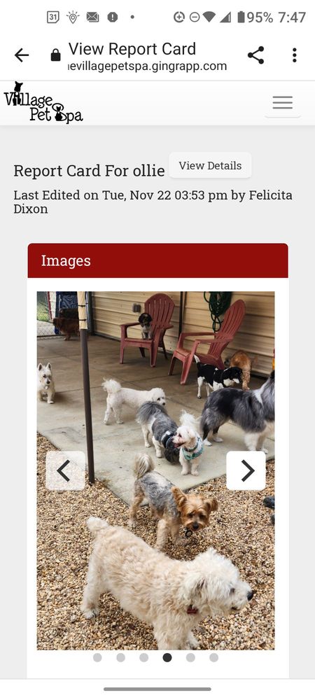 Village Pet Spa Image