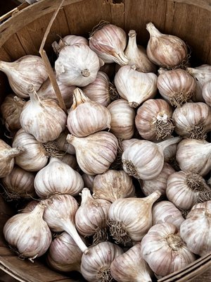 Evanston Farmers' Market by null