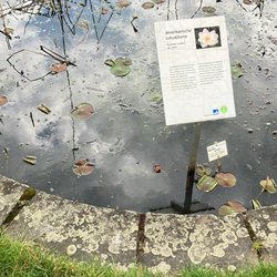Botanischer Garten
