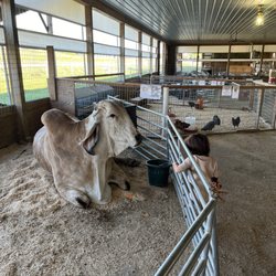 Hershberger's Farm and Bakery