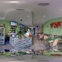 Photo of Bebo's Authentic Grill