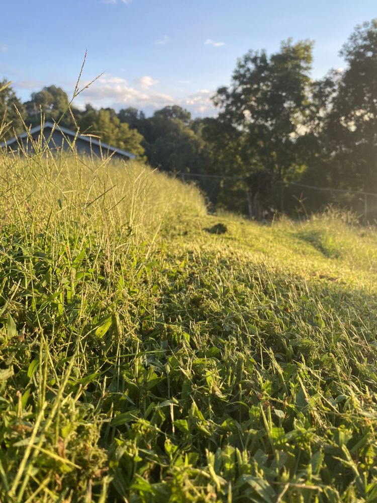 GRYPHON LAWNCARE AND LANDSCAPING Updated April 2024 Request a Quote