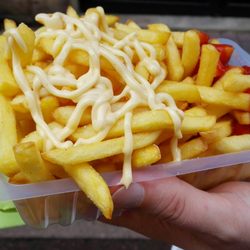 Le Palmarium - Frites grande (3€)