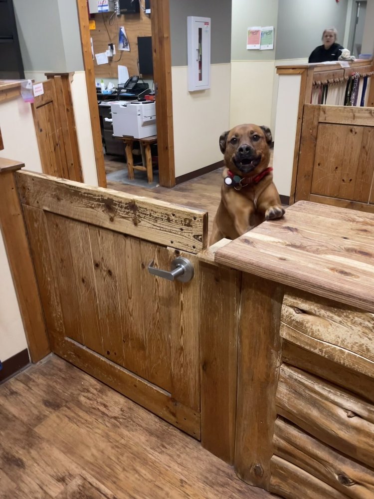 CAMP BOW WOW GRAND RAPIDS AIRPORT 19 Photos & 25 Reviews 4150 40th