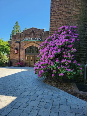 Trinity College by null