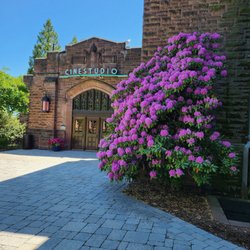 Trinity College - Azaleas