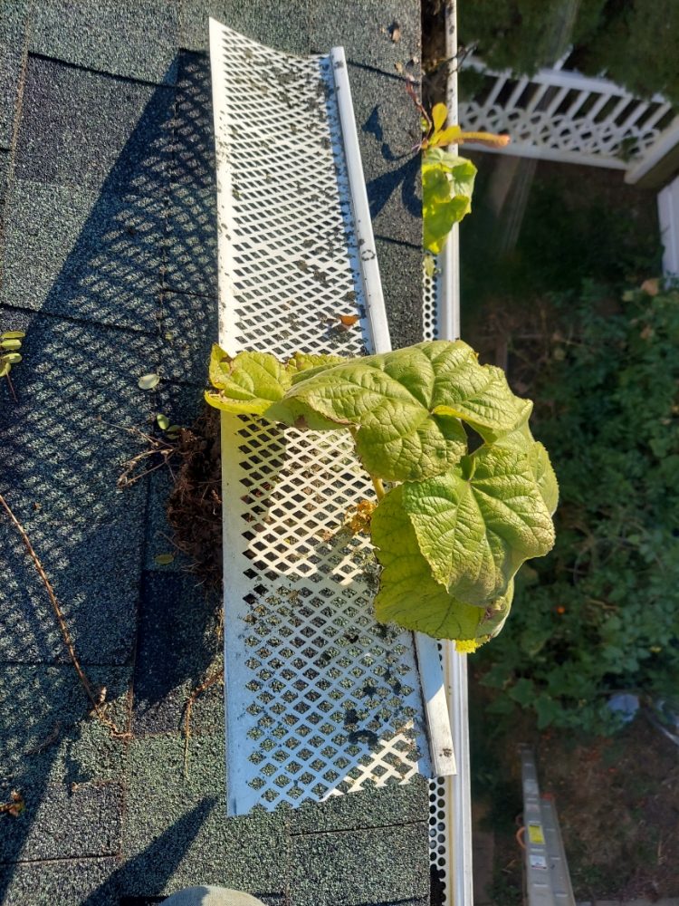 Slide of Quality Mend and Maintenance