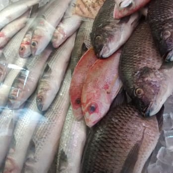 Riverside Seafood Market - Mullet, snapper and tilapia - Seafood Markets Near Me - Tampa, Florida Riverside Seafood Market - Mullet, snapper and tilapia - Seafood Markets Near Me - Tampa, Florida