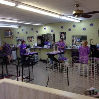 Dalespets - Our grooming salon as seen when you arrive - Pet Groomers Near Me - Columbia, South Carolina
