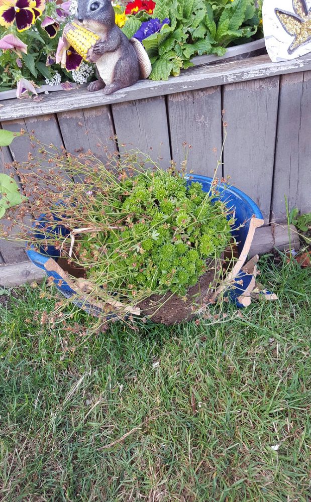 Slide of Grayson's Contracting