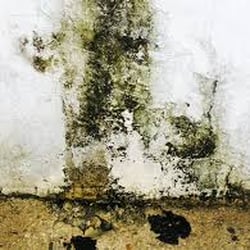 Affordable Restoration