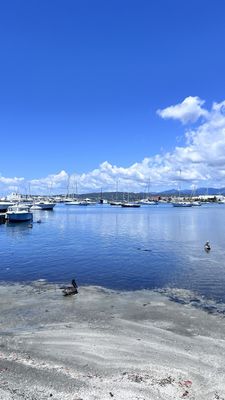 La Guancha by null
