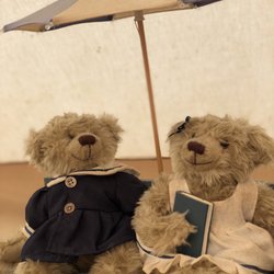 Shannon Estuary Glamping - the cute bears in the tent