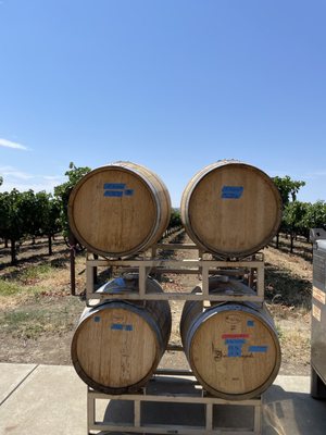 Tolenas Winery by null
