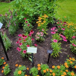 Perennials and annuals.