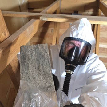Dek Consulting Soltuions - Damage Restoration Near Me - Abbotsford, British Columbia Dek Consulting Soltuions - Damage Restoration Near Me - Abbotsford, British Columbia