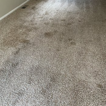 Simply Clean Carpet Care - Pet spots (before) - Carpet Cleaning Near Me