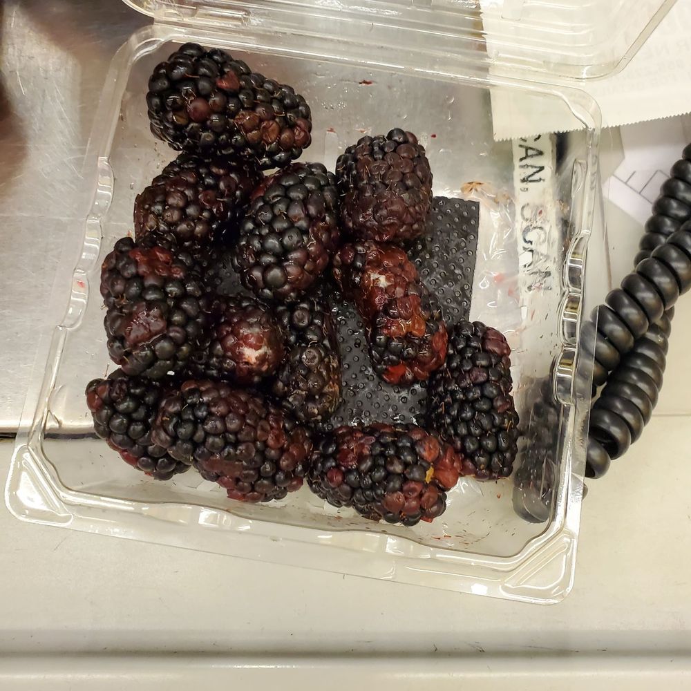 Ralphs - Blackberry and with fungus from ralph store - Grocery Near Me - Temple City, California Ralphs - Blackberry and with fungus from ralph store - Grocery Near Me - Temple City, California