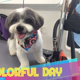 Isley is so happy after being groomed by Deana Isley is so happy after being groomed by Deana