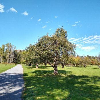 Amherst State Park - Apple trees - Dog Parks Near Me - Buffalo, New York