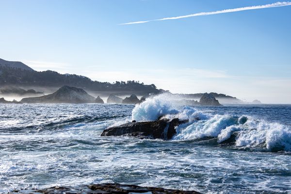 Point Lobos State Natural Reserve by null