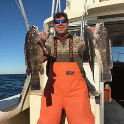 Bingo Fishing Charters - Tog