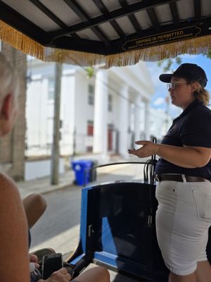 Palmetto Carriage Works by null