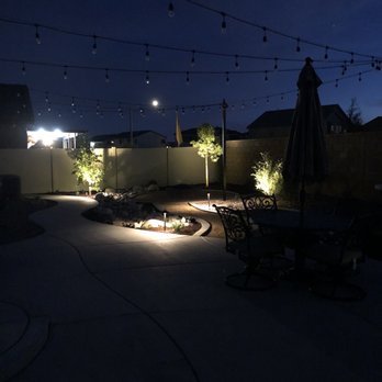 Root zone Landscape Construction - Up lights on trees - Landscaping Near Me
