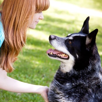 Full Circle In Home Pet Euthanasia - Dr. Carrie Donahue, DVM - Veterinarians Near Me - Madison, Wisconsin