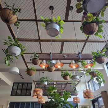 Valley Goat - New American Near Me - Sunnyvale, California Valley Goat - New American Near Me - Sunnyvale, California