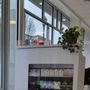 Photo of Phila Non-Toxic Nail Spa & Hair Salon
