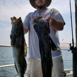 Phenix Sportfishing